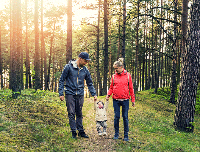 RRSP Loan
